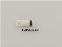 藏品(羅爾氏白眉天牛)的圖片